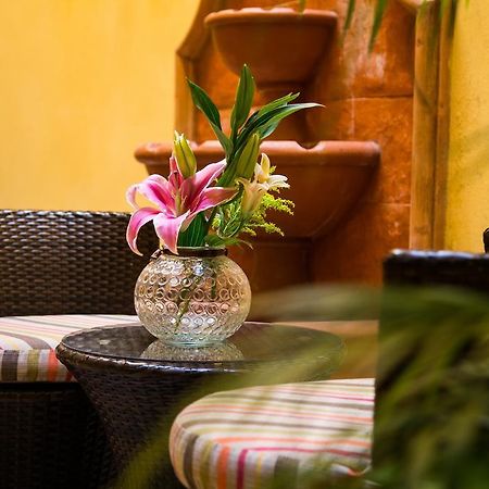 La Galeria By Bunik Hotel Playa del Carmen Exterior photo
