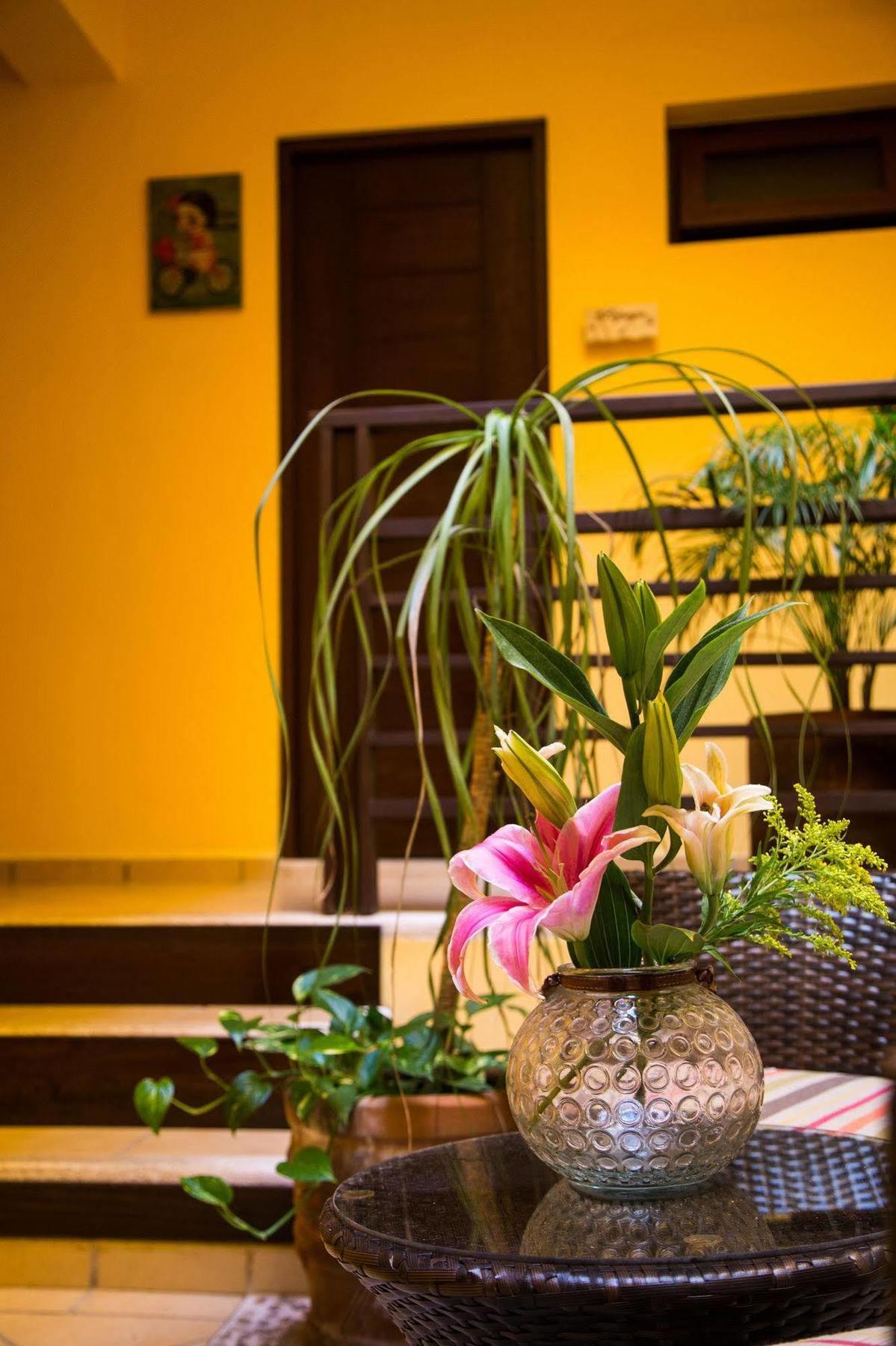 La Galeria By Bunik Hotel Playa del Carmen Exterior photo